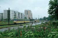 Imagine atasata: 1519.24 vr 27-06-80 Timisoara.jpg